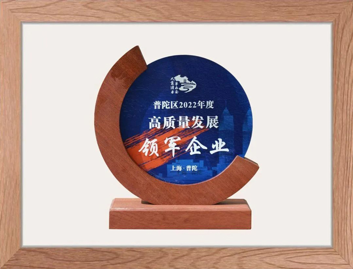 上嘉物流普陀区2022年度高质量发展领军企业