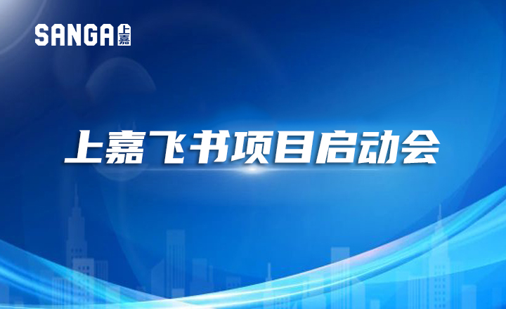 上嘉集团“飞书项目启动会”顺利召开