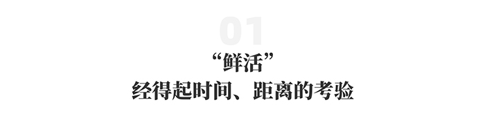 上嘉物流 专注食品零售