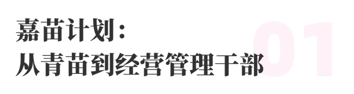 上嘉物流 校园招聘