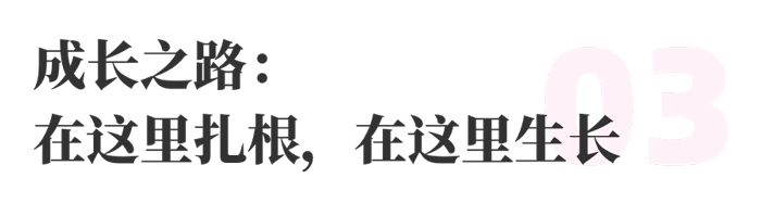上嘉物流 校园招聘