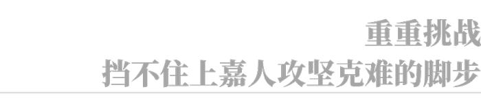 上嘉物流 专注食品零售